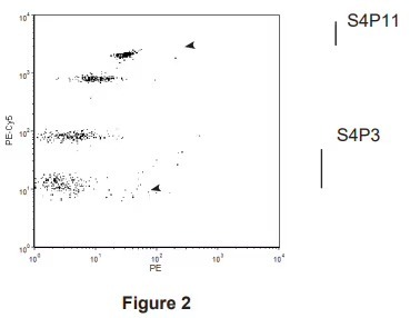 PE-Cy5 histogram and PE/PE-Cy5 dot plot showing four bead populations well-separated after PMT voltage adjustment.