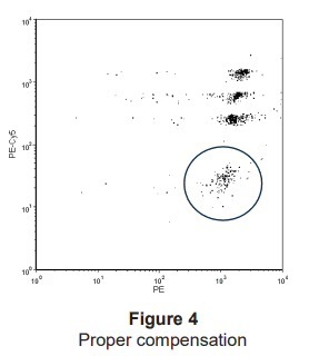 Correct PE-Cy5 minus %PE compensation — bead populations sit in a horizontal line (marked with a small circle).