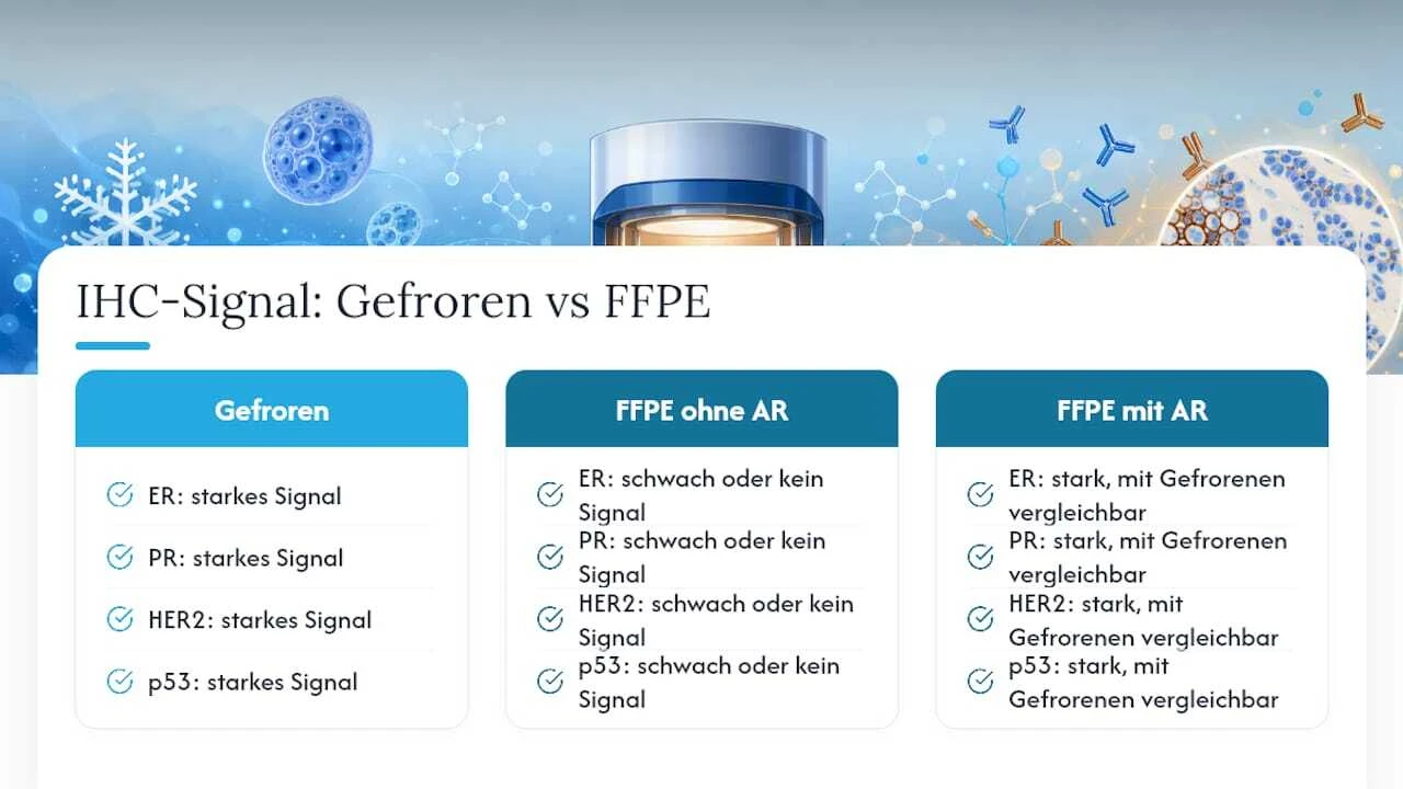 Vergleich der IHC-Signalintensitäten mit und ohne Antigen-Rückgewinnung
