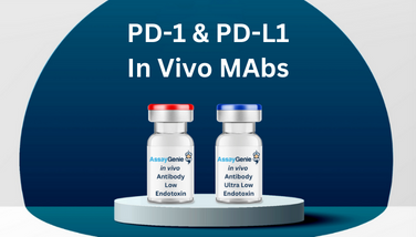 PD1 & PD-L1 Antibody