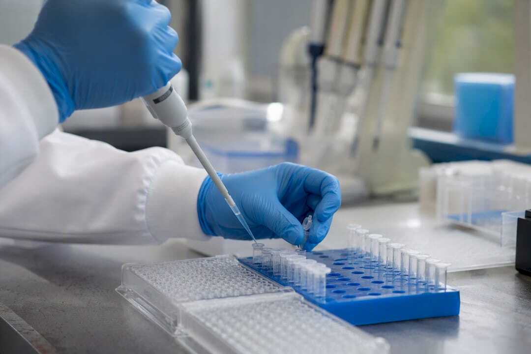 Scientifique réalisant des dilutions pour un dosage ELISA à l’aide d’une micropipette