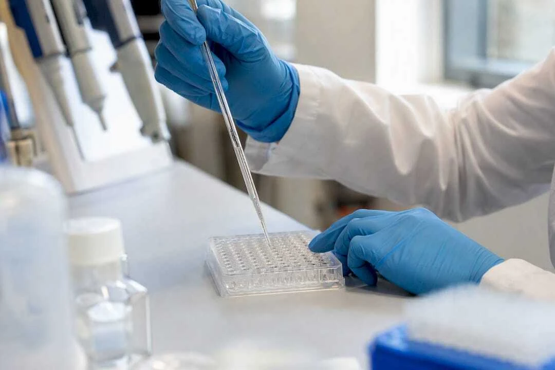 Wissenschaftler pipettiert ELISA-Blockierpuffer