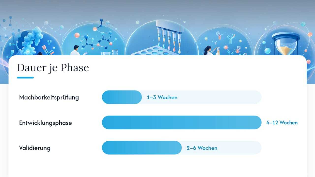 Wie lange dauert die Entwicklung und was kostet sie? — overview diagram