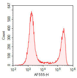 Mixed samples of normal mouse spleen cells and DNase I treated mouse spleen cells were stained.