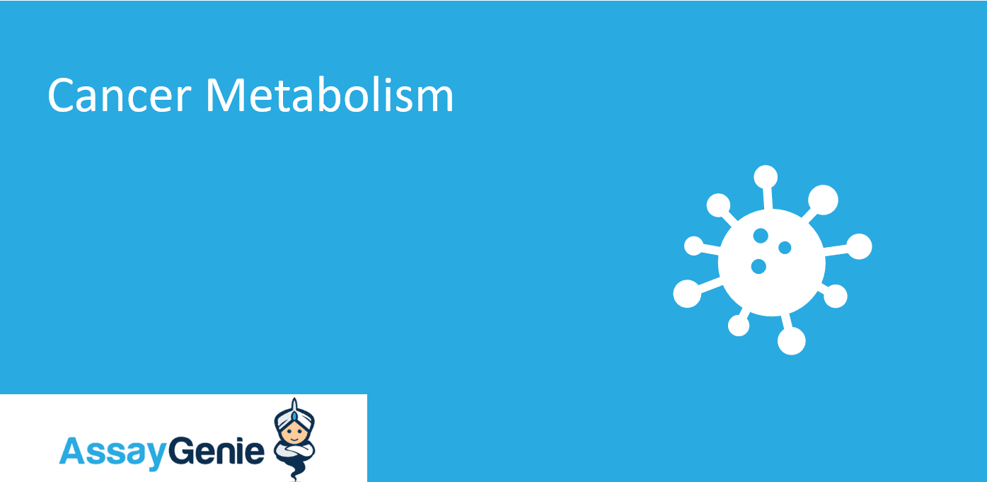 Cancer Metabolism Tumorigenesis, Metabolic Therapy & The Warburg Effect Assay Genie