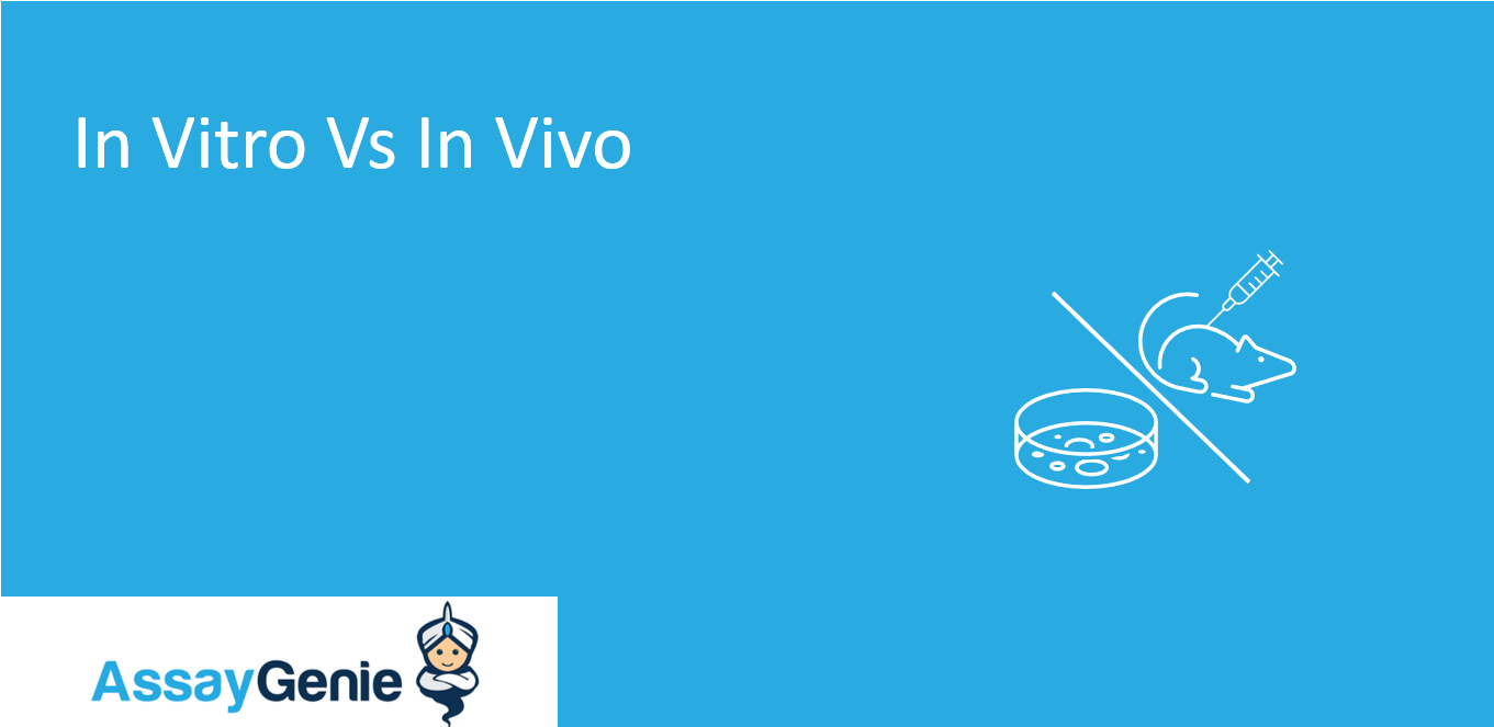 In Vivo vs. In Vitro: What Are the Differences?