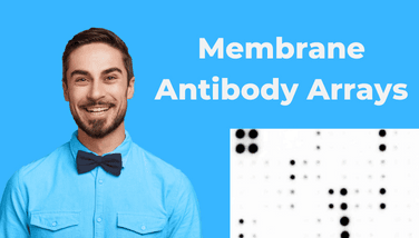 ELISA Kits, Assays & Antibodies - Assay Genie