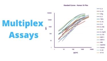 Mutliplex Assays