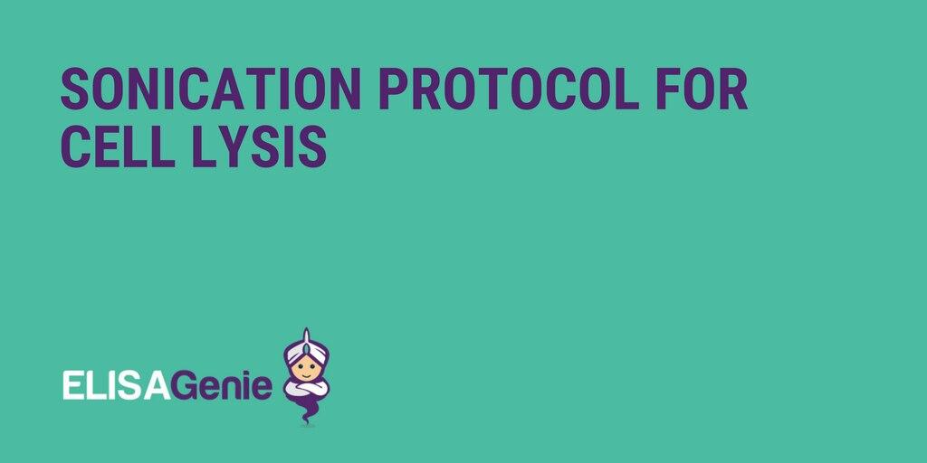 Sonication protocol for cell lysis Assay Genie