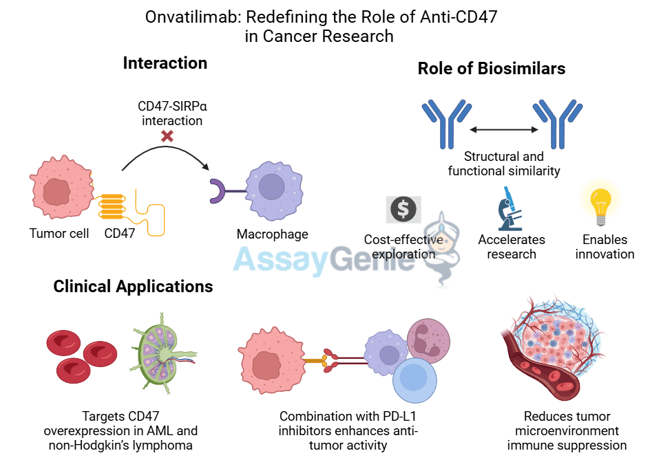 Onvatilimab: Redefining the Role of Anti-CD47 in Cancer Research ...