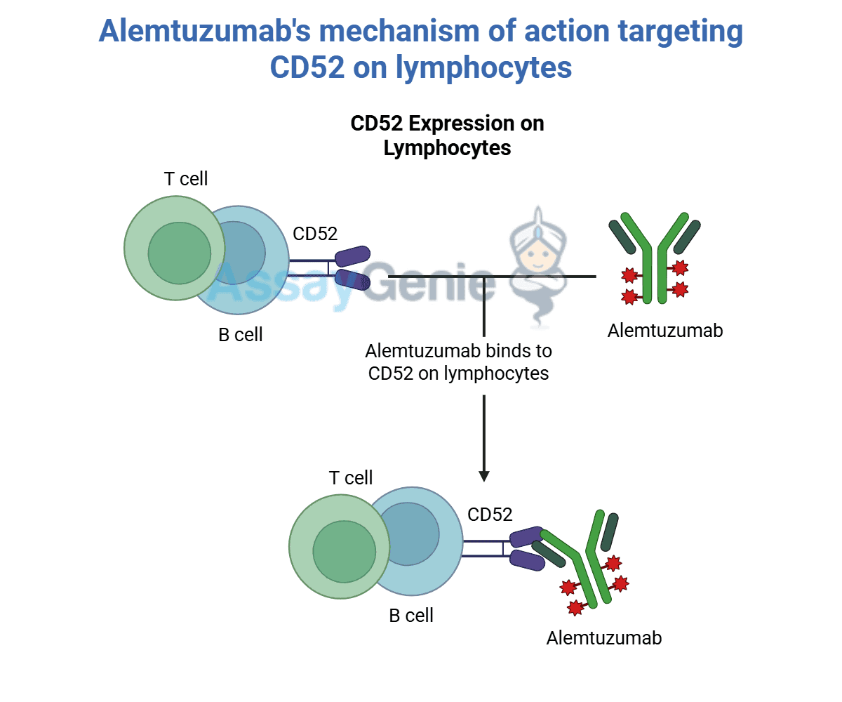 G.I.S.M DETERMINATION （ギズム デターミネーション） Amazon.co.jp: Tribute to G.I.S.M. [Analog]: ミュージック