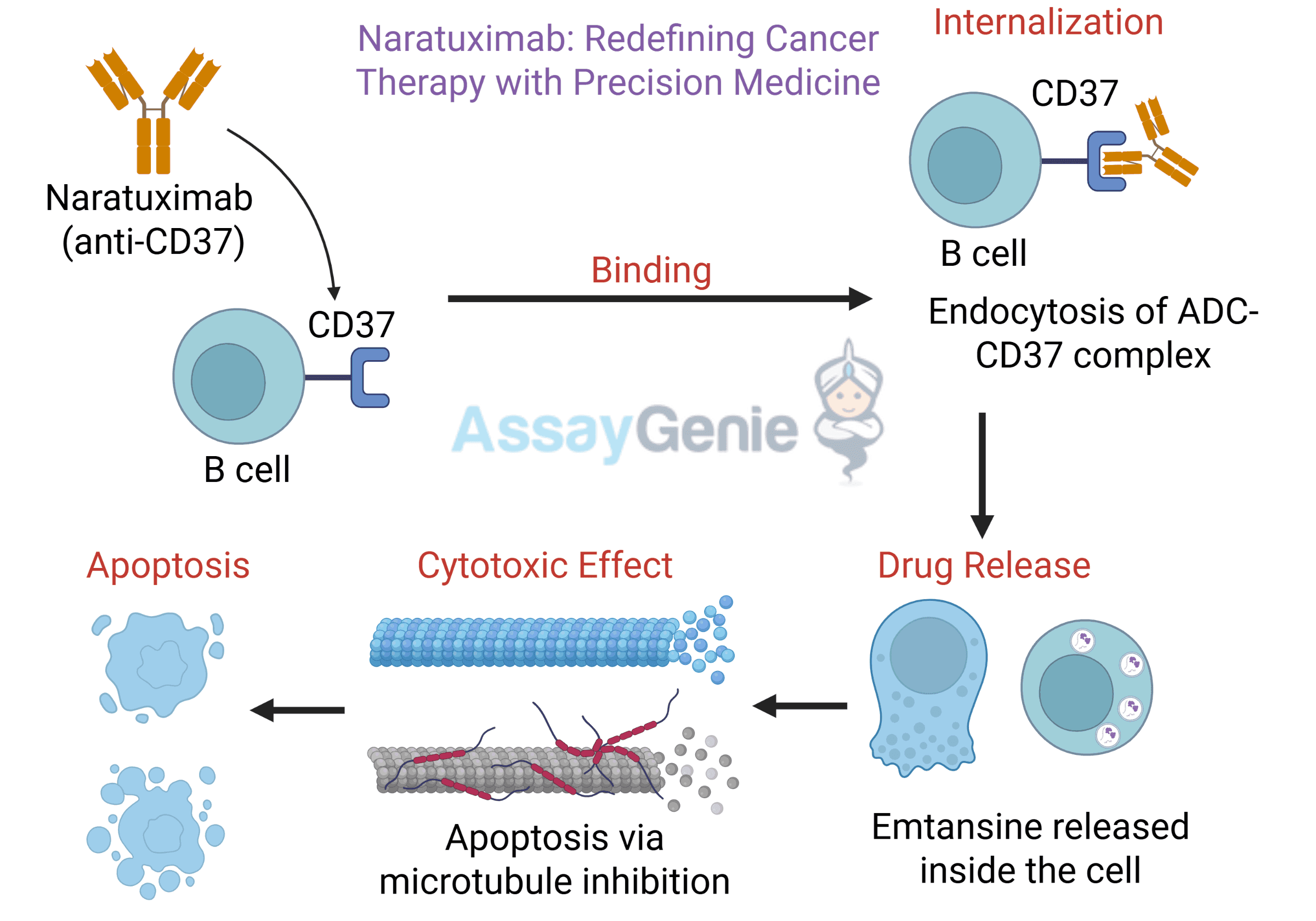 Naratuximab: Redefining Cancer Therapy with Precision Medicine