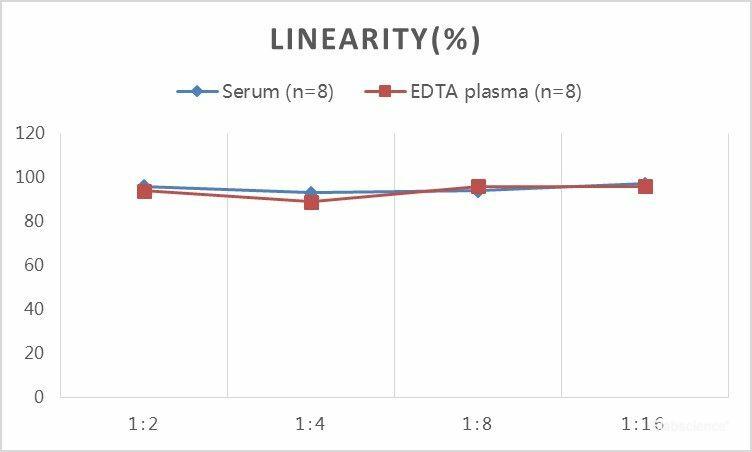 QuickStep Rat Adiponectin Linearity