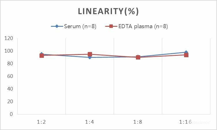 QuickStep Rat IgG Linearity