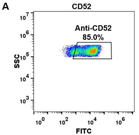 Alemtuzumab Biosimilar (Anti-CD52) Antibody (HDBS0030)