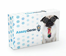Mouse Cell Biology ELISA Kits 1 Mouse HS-IL-6 High sensitive Interleukin 6 ELISA Kit MOFI01357