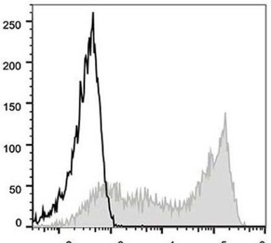 PE Anti-Human CD45RA Antibody [HI100]