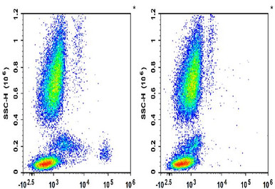 GenieFluor 488 Anti-Human CD123 Antibody [6H6]