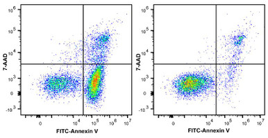 Annexin V-FITC / 7-AAD Apoptosis Kit