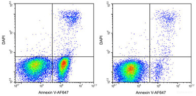 Annexin V-AF647 / DAPI Apoptosis Kit