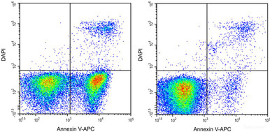 Annexin V-APC/DAPI Apoptosis Kit (AKES057) | Assay Genie