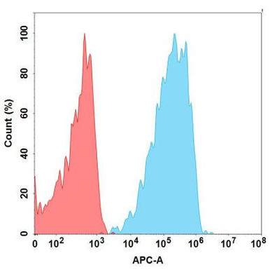 Anti-CD19 (FMC63) Biosimilar Antibody