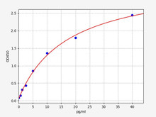 Rat IFN-gamma (Interferon gamma) ELISA Kit (AEFI00989)