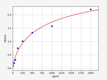Guinea pig C3b (Complement Fragment 3b) ELISA Kit (AEFI00063)