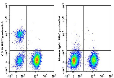 PE/Cyanine5 Anti-Human CD19 Antibody [HI19a]