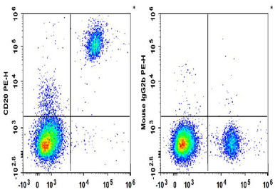 PE Anti-Human CD20 Antibody [2H7]