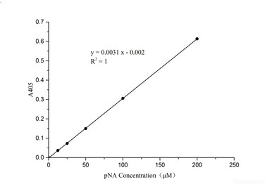 Caspase 3/7 Activity Assay Kit