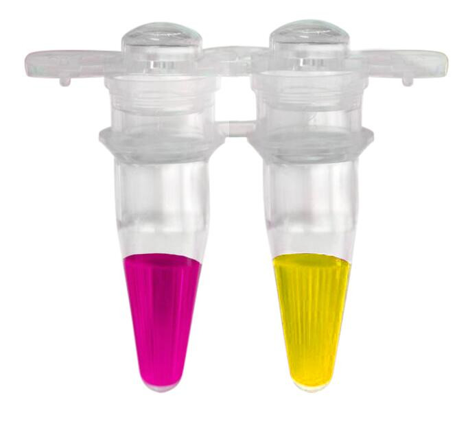 GenieColor Mycoplasma Detection Kit packaging from Assay Genie