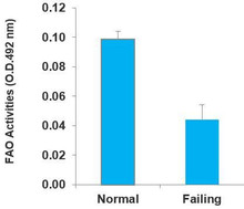 Fatty Acid Oxidation (FAO) Assay Kit (BR00001)