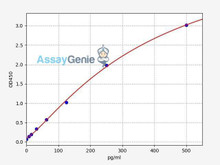 Human Interferon alpha 8/IFN-alpha B2 ELISA Kit (HUFI02109)