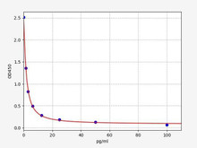 Human T4 ELISA Kit (HUFI02478)