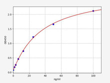 Rabbit OVA sIgE (Ovalbumin Specific IgE) ELISA Kit (AEFI01414)