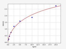 Human GDH/GLDH (Glutamate dehydrogenase) ColorStep ELISA Kit (AEFI02365)
