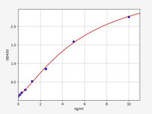 Rabbit IgE (Immunoglobulin E) ColorStep ELISA Kit (AEFI02753)