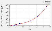Rat BNP (Brain Natriuretic Peptide) ELISA Kit (AEKE01455)
