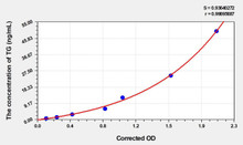 Rat TG (Thyroglobulin) ELISA Kit (AEKE04165)