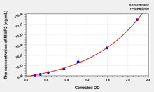 Horse MMP2 (Matrix Metalloproteinase 2) ELISA Kit (AEKE04886)