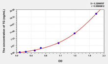 Human TG (Thyroglobulin) ELISA Kit (AEKE06616)