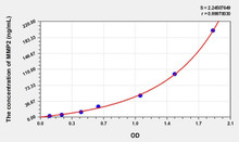 Rat MMP2 (Matrix Metalloproteinase 2) ELISA Kit (AEKE06777)