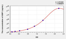 Human XBP1 (X-Box Binding Protein 1) ELISA Kit (AEKE07498)