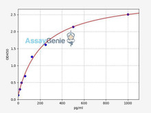 Human ARC ELISA Kit (HUFI02024)