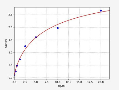 Human JNK1 / MAPK8 ELISA Kit