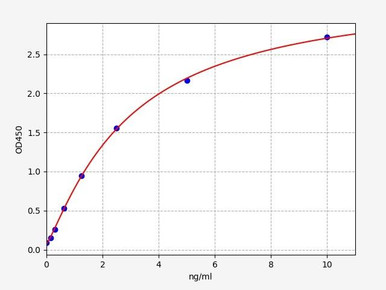 Human Ferritin ELISA Kit