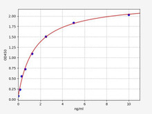 Rat Immunology ELISA Kits 2 Rat AVPR1b / Vasopressin V1b receptor ELISA Kit