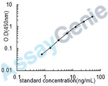 Human Gamma-glutamyltranspeptidase 1 (GGT1) ELISA Kit (HUEB1451)