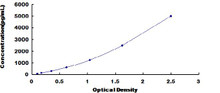 Mouse Complement Component 4a C4a ELISA Kit